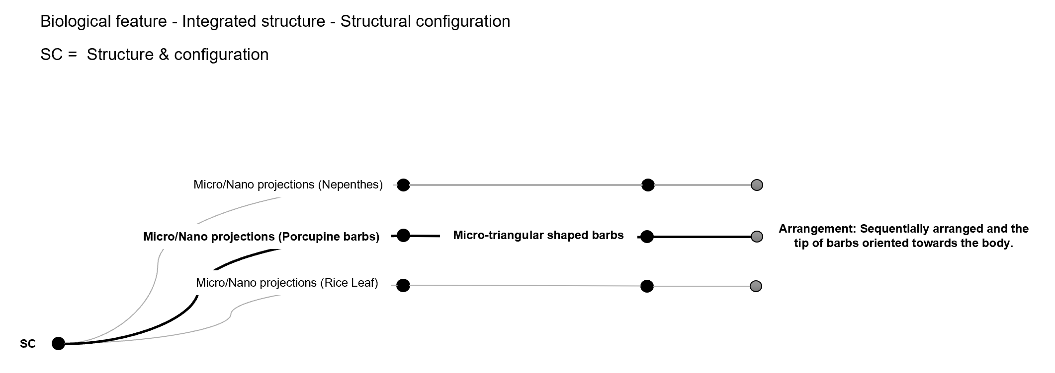 Surfaces Dendrogram 2